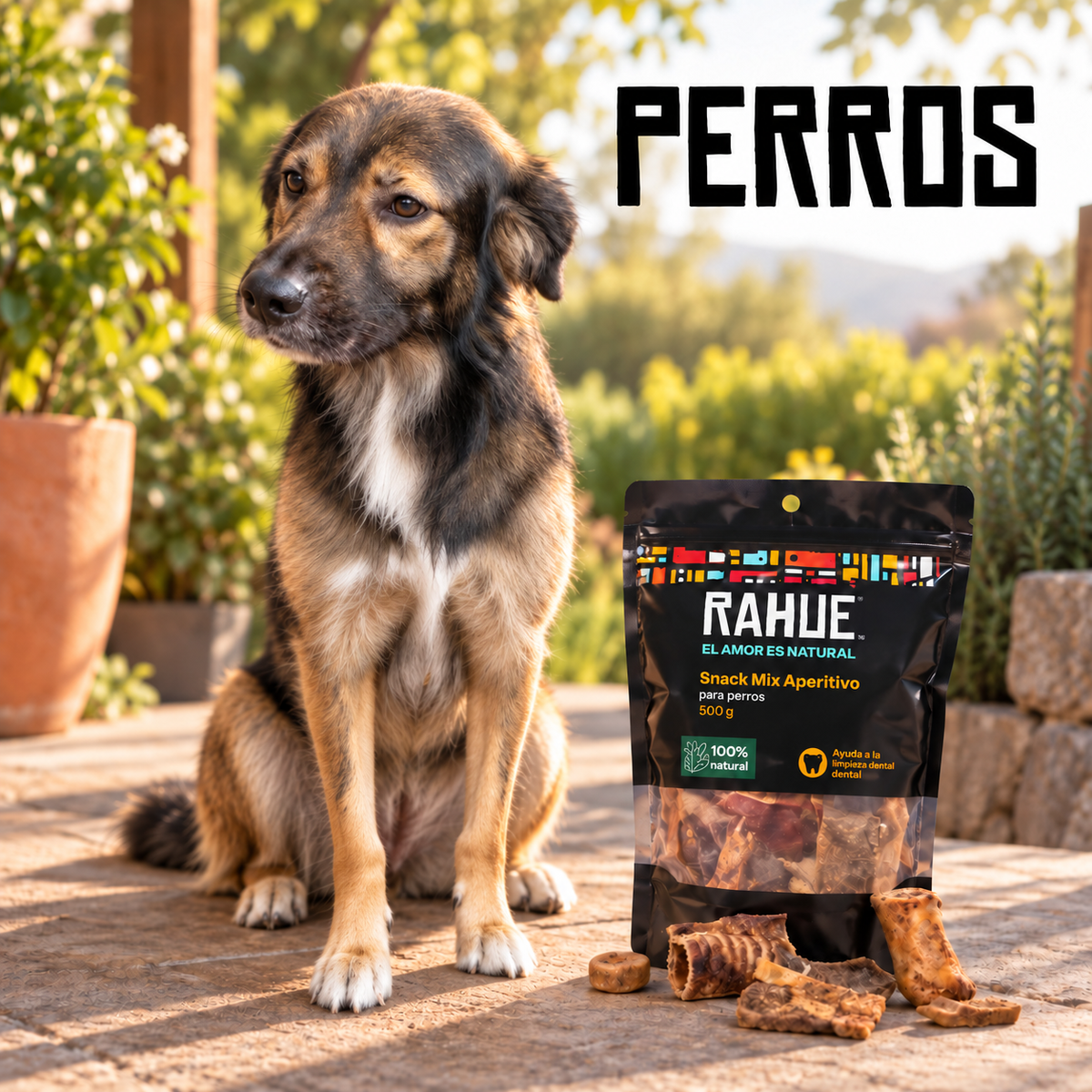 RAHUE Perros - Snacks naturales para perros
